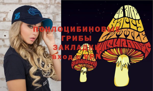 a pvp Надым