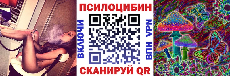Галлюциногенные грибы Psilocybine cubensis Королёв